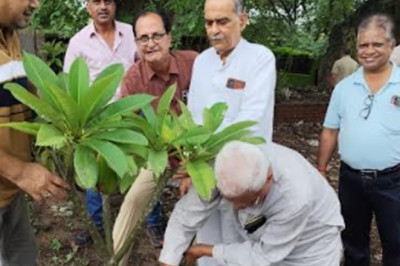 बालाजी मंदिर समिति ने किया पौधरोपण
