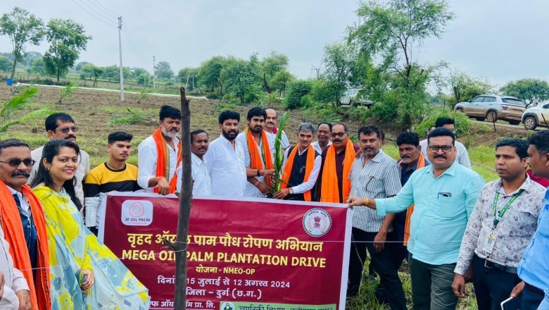  उद्यानिकी विभाग द्वारा वृहद् ऑयल पॉम पौधरोपण अभियान...