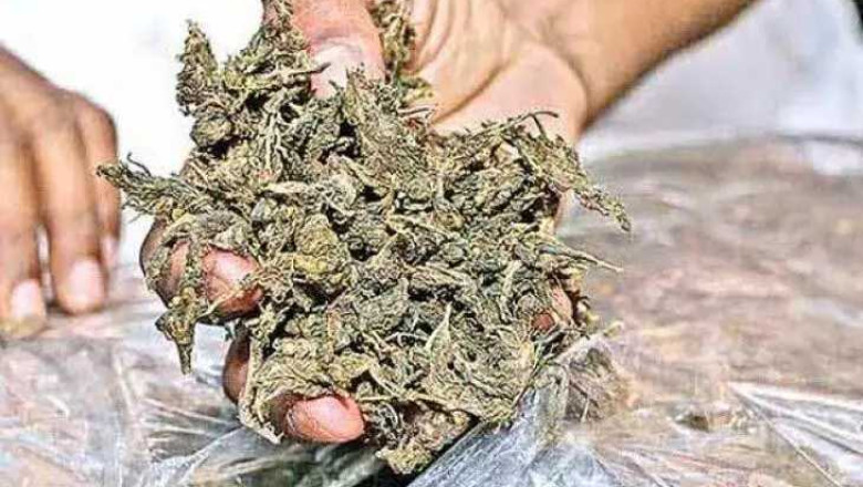 फटी की फटी रह गई आंखें,गांजे की तस्करी वो भी बैट में...