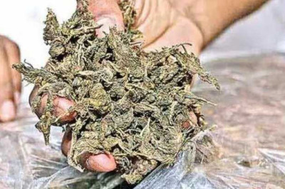 फटी की फटी रह गई आंखें,गांजे की तस्करी वो भी बैट में...
