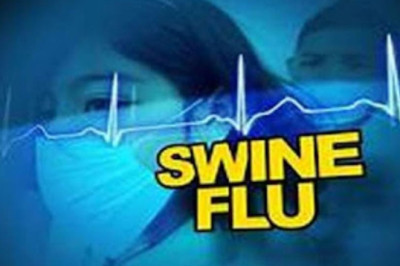 CG: स्वाइन फ्लू का बढ़ता प्रकोप एक और मौत से जिले में दहशत, मरीजों की संख्या 100 के करीब....