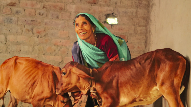 मनरेगा लाभार्थी पशु शेड बनने से अतिरिक्त आमदनी का ले रहे हैं लाभ