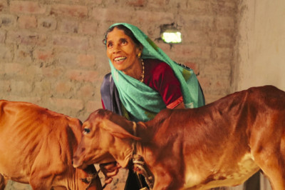 मनरेगा लाभार्थी पशु शेड बनने से अतिरिक्त आमदनी का ले रहे हैं लाभ