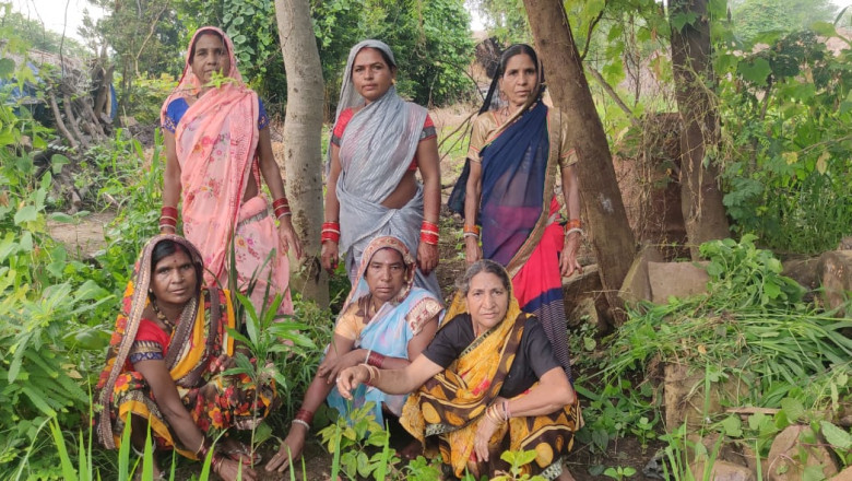 २२ पेड़ जिन्दगी के नाम