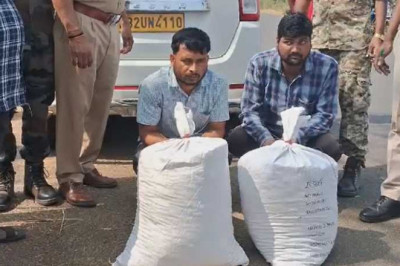 दो अंतराज्यीय तस्कर गिरफ्तार, ओडिसा का गांजा छत्तीसगढ़ के रास्ते ले जाया जा रहा था...