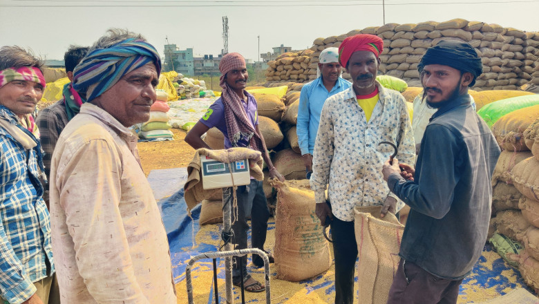 ज़िले के धान उपार्जन केंद्रों में अब तक 16252 किसानों ने  बेचा 86093 मेट्रिक टन धान