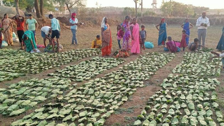 राजमोहिनी देवी तेन्दूपत्ता संग्राहक सामाजिक सुरक्षा योजना...