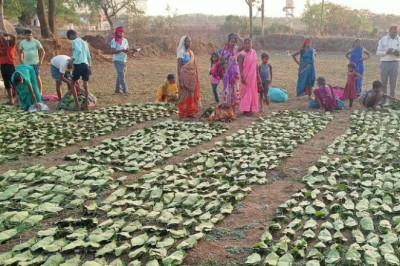 राजमोहिनी देवी तेन्दूपत्ता संग्राहक सामाजिक सुरक्षा योजना...