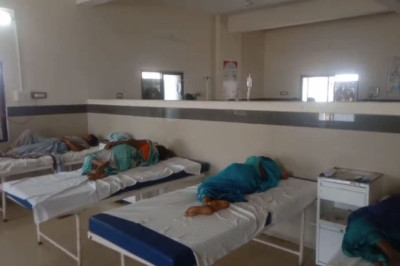 मधुमक्खियों ने किया हमला : मजदूरों पर आई मुसीबत...