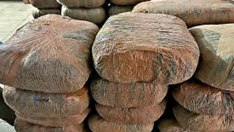 4 लाख का गांजा जब्त, साईबर यूनिट और पुलिस ने मारी रेड...