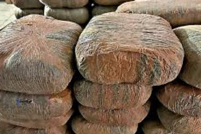 4 लाख का गांजा जब्त, साईबर यूनिट और पुलिस ने मारी रेड...