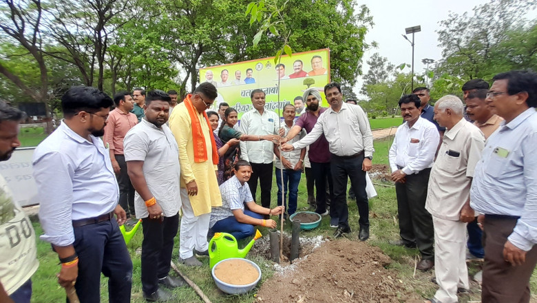 विश्व पर्यावरण दिवस के अवसर पर नगर निगम द्वारा आनंद वाटिका में वृक्षारोपण...