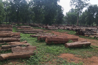 सुदूर अंचल में वन विभाग की ऐतिहासिक पहल, कूप कटाई और वन संसाधनों से ग्रामीणों को मिला नया सहारा...