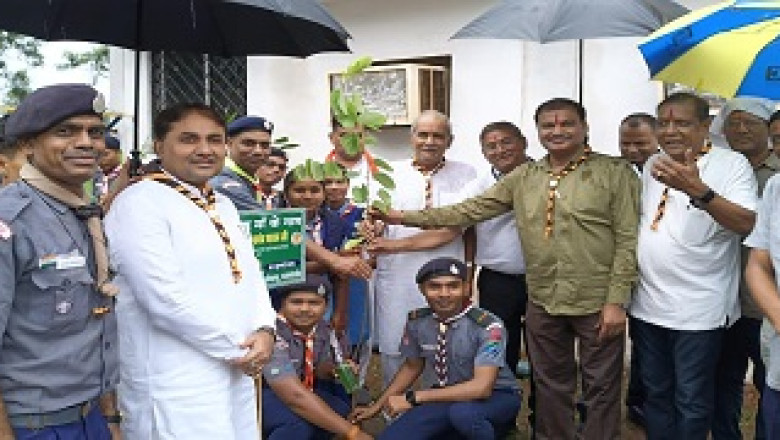 छत्तीसगढ़ जिला राजनांदगांव भारतीय स्काउट्स गाइड्स के विद्यार्थियों और अधिकारियों के द्वारा वृहद वृक्षारोपण आयोजन   ...