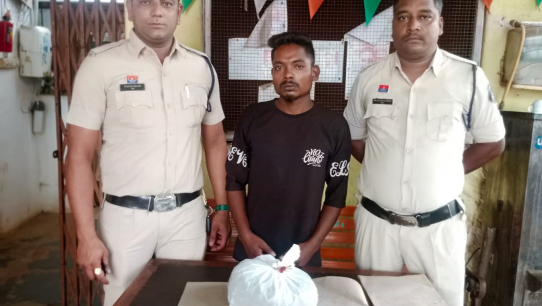 चौकी जेवरा सिरसा की कार्यवाही अवैध मादक पदार्थ गांजा के साथ एक व्यक्ति गिरफ्तार.....