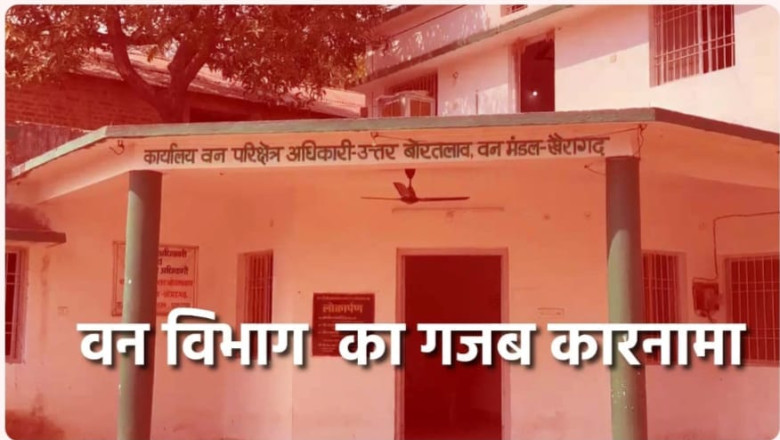 डोंगरगढ़ वन विभाग(उत्तर बोरतलाव) में बारिश के मौसम में हुआ कार्य,, लाखों का फर्जीवाड़ा...