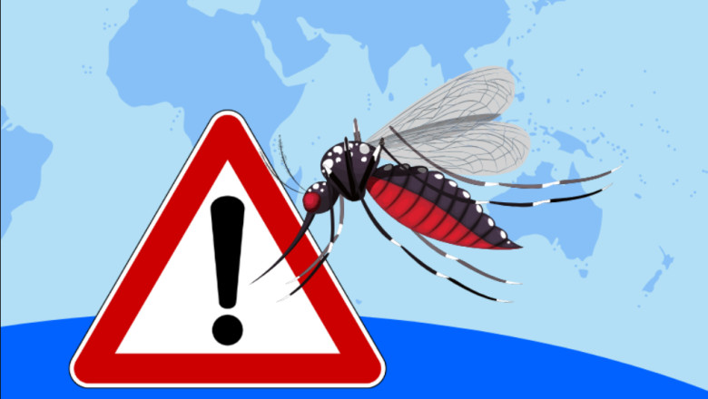 हर साल 10 लाख मनुष्यों का शिकार करते हैं मच्छर, मच्छर जनित बीमारियों के प्रति जागरूकता जरूरी (विश्व मच्छर दिवस 20 अगस्त पर विशेष)...