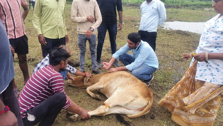 ग्राम लिटिया में ग्रामीणों के सहयोग से घुमंतू पशुओं से फसल की सुरक्षा से एवं सड़क दुर्घटना में कमी लाने के लिए लगभग 30-35 पशुओं के लिए गौठान में चारा-पानी की व्यवस्था की जा रही....