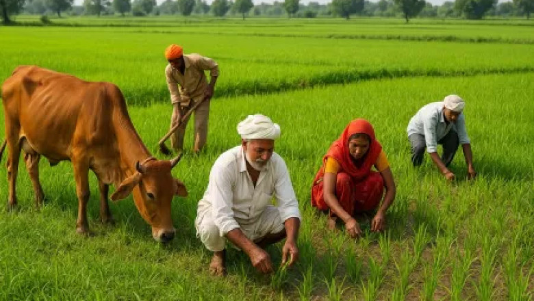 किसानों के खातों में नहीं पहुंची भूमि क्षतिपूर्ति की राशि, आंदोलन की दी चेतावनी...