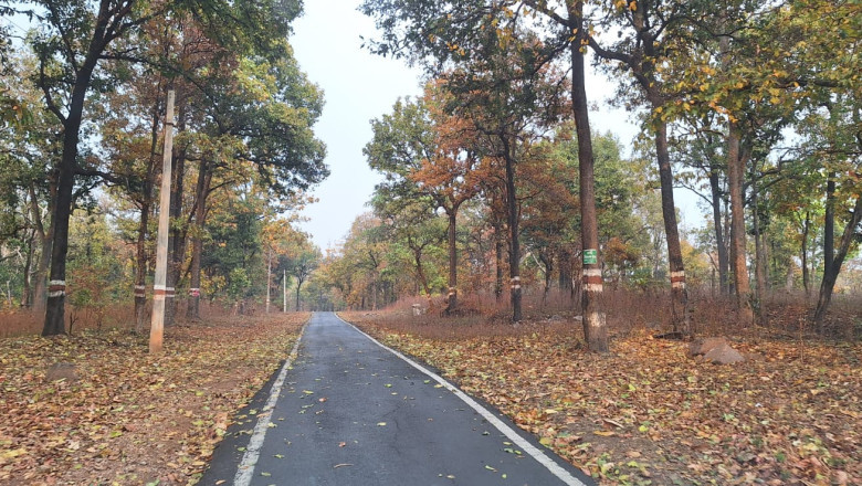 कोरबा की सड़क यात्रा गांवों को जोड़ा विकास से, सड़कों ने लिखी प्रगति की नई गाथा...