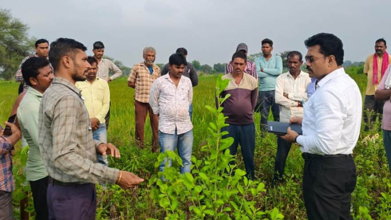 किसानों को अधिक वर्षा से प्रभावित फसल की क्षतिपूर्ति के लिए मिलेगी राहत...