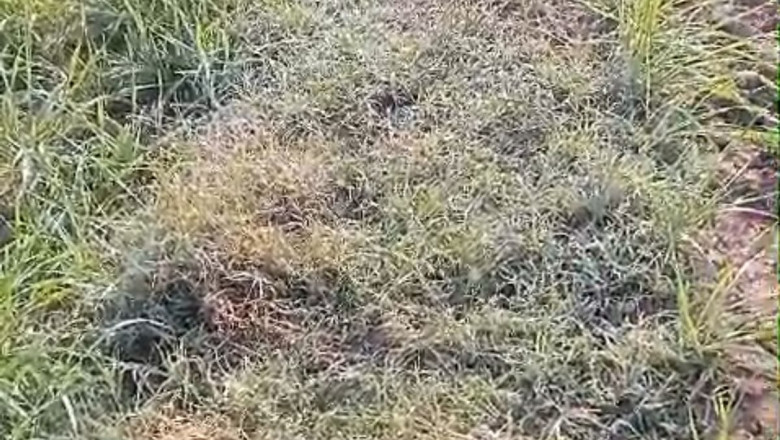 3 दिन शीतलहर चलेगी...अंबिकापुर में 7° C गिरा तापमानरायपुर में नवंबर में 9 साल में दूसरी बार तापमान 13°C तक पहुंचा