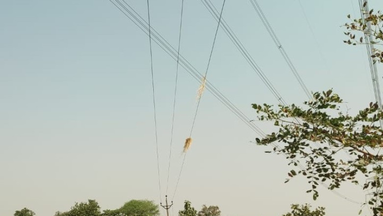राजनांदगांव, मोहला-मानपुर-अंम्बागढ़ चौकी, खैरागढ़-छईखदान-गंडई एवं कबीरधाम जिलें के ग्रामीण इलाकों में धान मिसाई के कारण विद्युत लाइनों में ब्रेकडाउन की आ रही है शिकायतें...