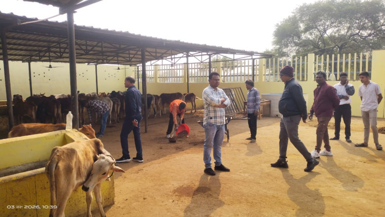 महापौर आज सुबह वार्ड निरीक्षण के लिए पहुॅचे ग्रामीण वार्ड रेवाडीह...