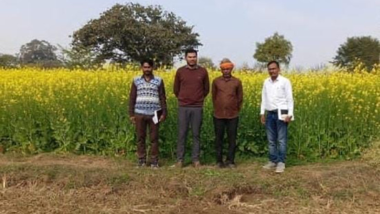 बेमेतरा जिला बना दलहन–तिलहन क्षेत्र विस्तार का आदर्श मॉडल...