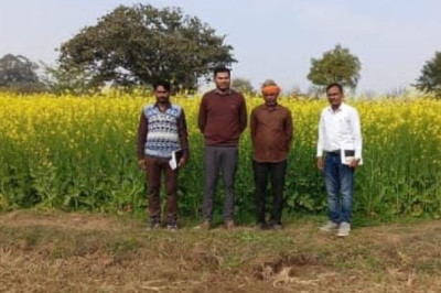 बेमेतरा जिला बना दलहन–तिलहन क्षेत्र विस्तार का आदर्श मॉडल...