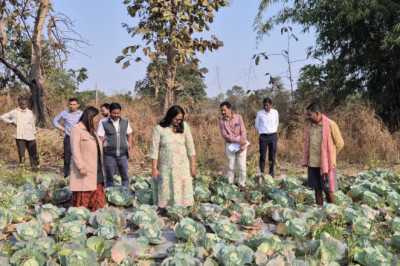 खेतों में उतरकर कलेक्टर श्रीमती तुलिका प्रजापति ने किसानों से की सीधा संवाद, रबी फसलों का लिया जायजा...