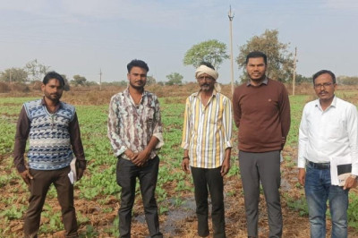 ग्रीष्मकालीन धान के स्थान पर सरसों की खेती—प्रगतिशील कृषक कमलेश साहू की दूरदर्शी सोच बनी प्रेरणा...