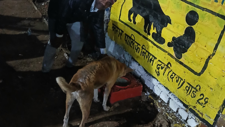️सुप्रीम कोर्ट के निर्देशों पर तेज़ी से अमल: दुर्ग नगर निगम ने बनाए 60 डॉग फ़ीडिंग सेंटर...