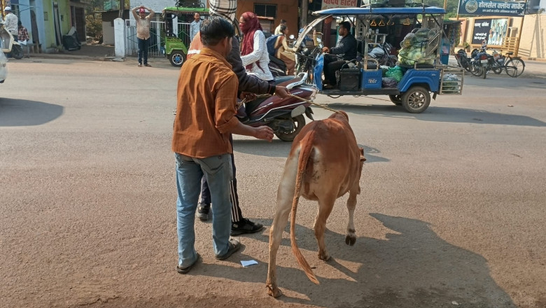 भैसा कोठा व्यवसायिक परिसर की 10 दुकाने निगम ने की सील...