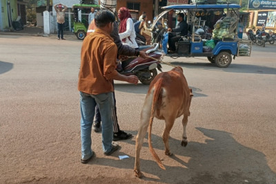 भैसा कोठा व्यवसायिक परिसर की 10 दुकाने निगम ने की सील...