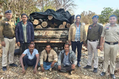 पिकअप में लोड कर ले जा रहे थे सागौन के लट्ठे, पुलिस और वन विभाग की संयुक्त टीम ने 5 आरोपियों को किया गिरफ्तार…