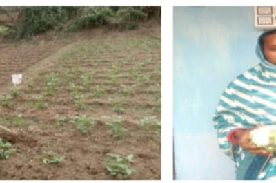 “महतारी वंदन योजना से बदल रही महिलाओं की तकदीर, आर्थिक मदद से संवर रही हजारों परिवारों की जिंदगी”