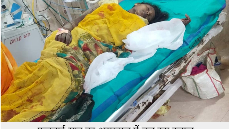 डोंगरगढ़ – जंगल में तेंदूपत्ता तोड़ने गए ग्रामीणों पर जंगली सूअर का हमला। महिला समेत 5 लोगों गंभीर रूप से घायल....