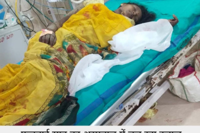 डोंगरगढ़ – जंगल में तेंदूपत्ता तोड़ने गए ग्रामीणों पर जंगली सूअर का हमला। महिला समेत 5 लोगों गंभीर रूप से घायल....