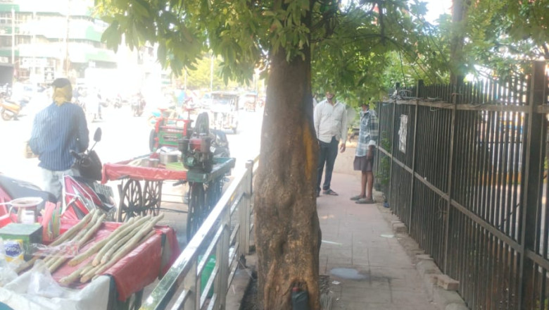 रायपुर नगर निगम का बड़ा कदम: पौधों को प्राकृतिक विकास के लिए खोला जा रहा रास्ता