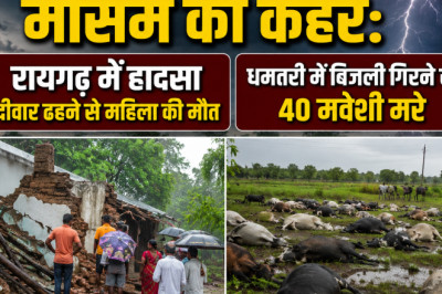 छत्तीसगढ़ में मौसम का कहर: रायगढ़ में हादसा, धमतरी में बिजली गिरने से 40 मवेशी मरे