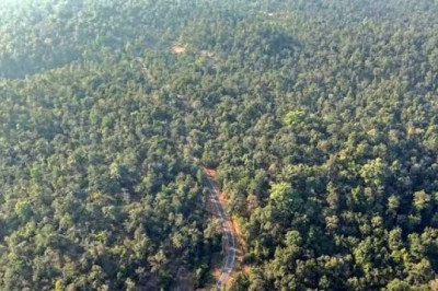 छत्तीसगढ़ के जंगलों से राजस्थान को मिलेगी बिजली, 90 लाख टन कोयले की कमी होगी दूर