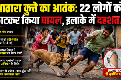आवारा कुत्ते का आतंक: 22 लोगों को काटकर किया घायल, इलाके में दहशत...