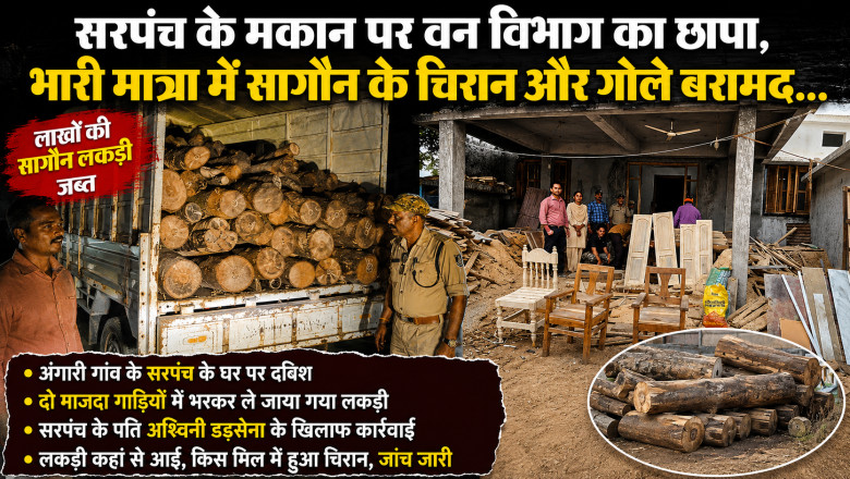 सरपंच के मकान पर वन विभाग का छापा, भारी मात्रा में सागौन के चिरान और गोले बरामद...