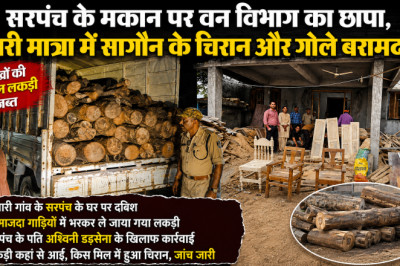 सरपंच के मकान पर वन विभाग का छापा, भारी मात्रा में सागौन के चिरान और गोले बरामद...