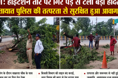 दुर्ग: हाईटेंशन तार पर गिरे पेड़ से टला बड़ा हादसा, यातायात पुलिस की तत्परता से सुरक्षित हुआ आवागमन...
