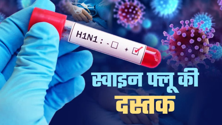 बिलासपुर में स्वाइन फ्लू के 7 मरीज मिलने से स्वास्थ्य विभाग अलर्ट, 5 स्वस्थ होकर डिस्चार्ज...