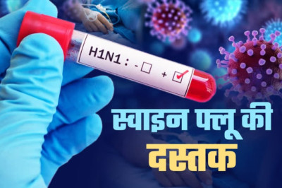 बिलासपुर में स्वाइन फ्लू के 7 मरीज मिलने से स्वास्थ्य विभाग अलर्ट, 5 स्वस्थ होकर डिस्चार्ज...