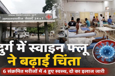 दुर्ग में स्वाइन फ्लू के 6 मरीज मिले: 4 स्वस्थ होकर घर लौटे, 2 का इलाज जारी; बिलासपुर में भी 7 संक्रमित