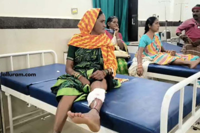 आवारा कुत्ते ने 13 लोगों को काटा, तीन की हालत गंभीर, नगर में डर का माहौल